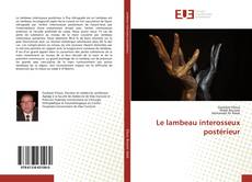 Copertina di Le lambeau interosseux postérieur