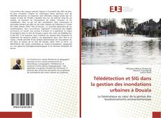 Copertina di Télédétection et SIG dans la gestion des inondations urbaines à Douala