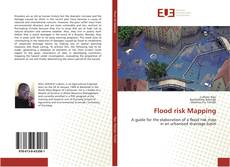 Copertina di Flood risk Mapping