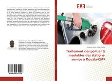 Обложка Traitement des polluants insolubles des stations-service à Douala-CMR