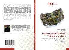 Copertina di Economic and Technical Efficiency Analysis