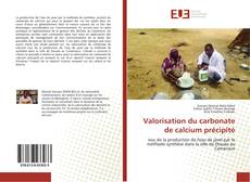 Bookcover of Valorisation du carbonate de calcium précipité