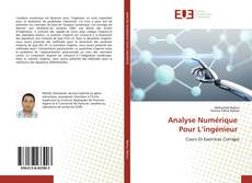 Copertina di Analyse Numérique Pour L’ingénieur