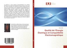Qualité de l’Énergie Électrique et Compatibilité Électromagnétique的封面