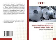 Portada del libro de Goethite et Hématite pour la valorisation du Zn (II)