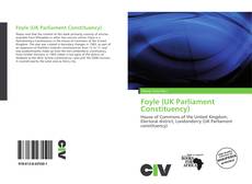 Portada del libro de Foyle (UK Parliament Constituency)