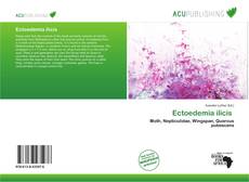 Borítókép a  Ectoedemia ilicis  - hoz