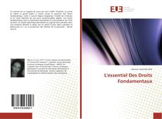 Copertina di L'essentiel Des Droits Fondamentaux