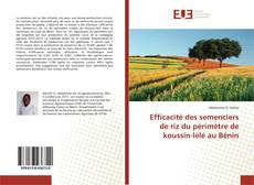 Buchcover von Efficacité des semenciers de riz du périmètre de koussin-lélé au Bénin