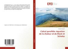 Buchcover von Calcul parallèle: équation de la chaleur et de Black et Scholes