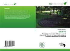 Borítókép a  Saulieu - hoz