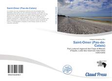 Portada del libro de Saint-Omer (Pas-de-Calais)