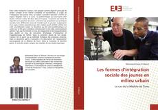 Copertina di Les formes d’intégration sociale des jeunes en milieu urbain
