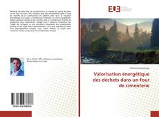 Copertina di Valorisation énergétique des déchets dans un four de cimenterie
