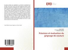Copertina di Prévision et évaluation du grignage de couture