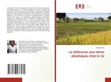 Copertina di La tolérance aux stress abiotiques chez le riz