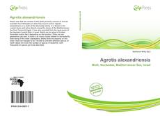 Buchcover von Agrotis alexandriensis