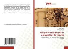 Couverture de Analyse Numérique de la propagation de fissures