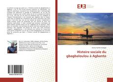 Buchcover von Histoire sociale du gbagbaloulou à Agbanto