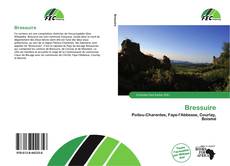 Portada del libro de Bressuire