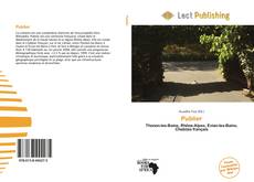 Bookcover of Publier