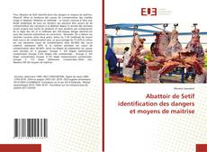 Portada del libro de Abattoir de Setif identification des dangers et moyens de maitrise