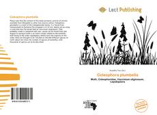 Bookcover of Coleophora plumbella