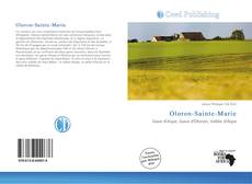 Portada del libro de Oloron-Sainte-Marie