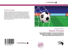 Capa do livro de Danilo Peinado 