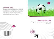 Portada del libro de Julio César Ribas