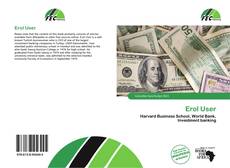 Borítókép a  Erol User - hoz