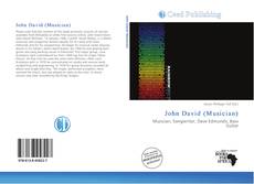 Bookcover of John David (Musician)