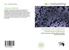 Bookcover of Vilebrequin (Moteur)
