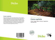 Carex capitata的封面