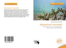 Buchcover von Equisetum hyemale