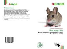 Copertina di Mus musculus