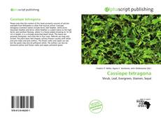 Обложка Cassiope tetragona