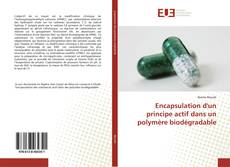 Capa do livro de Encapsulation d'un principe actif dans un polymère biodégradable 