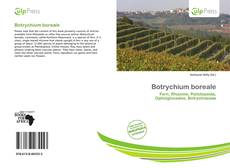 Buchcover von Botrychium boreale