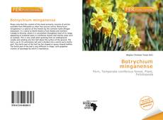 Buchcover von Botrychium minganense