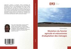 Обложка Mutation du foncier agricole et mécanismes d'adaptation des ménages