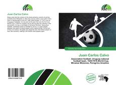 Couverture de Juan Carlos Calvo