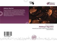 Adebayo Ogunlesi的封面