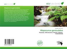 Borítókép a  Alopecurus geniculatus - hoz
