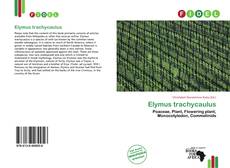 Copertina di Elymus trachycaulus