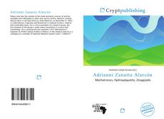 Bookcover of Adrianni Zanatta Alarcón