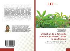 Borítókép a  Utilisation de la farine de Manihot esculenta C. dans la panification - hoz
