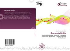 Bernardo Redín kitap kapağı