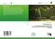 Обложка Beaugency