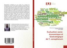Bookcover of Evaluation socio-économique et bioécologique de T. conophorum